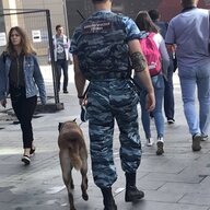 диджей арбуз