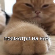trueMaslenok