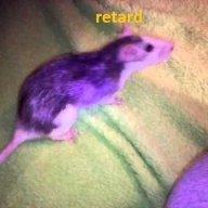 retard