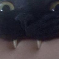 3ch0