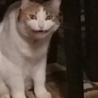 Маргарита Морозова