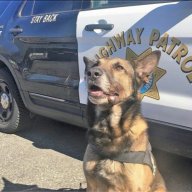 ✟Каратель_Ашотов✟