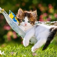 идити вы знаите куда