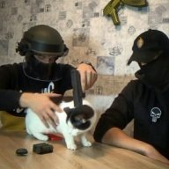 Пожилой Шотер