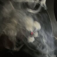 5.56
