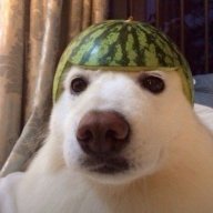 squarezhanov