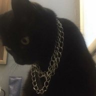 пришел с завоза