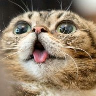 вроде человек