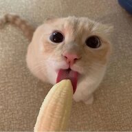 Alwayz Into Somethin'