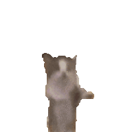 Mister_Dunilka