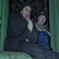 Who Let Tha Dogs Out