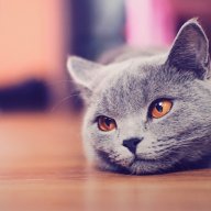 грязный санта