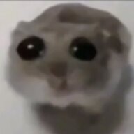 kidnamedfinger