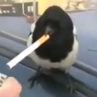 AnotherSpy