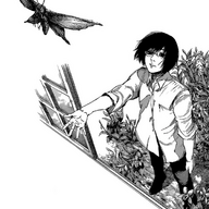 akira24