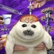Seal228