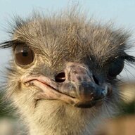 москва сити