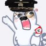 afganistan228