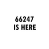 66247