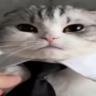 олег