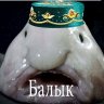 kiparisov.