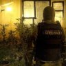 DrugDealer