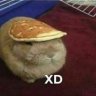 skrmn nocap