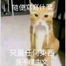 Mister Chinatown