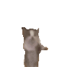 Mister_Dunilka