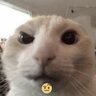 playboi danya