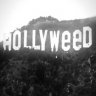 HollyWeed148