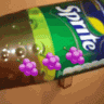 posheltudanah