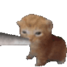 cxmpellxprxd dryk