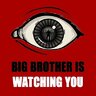 1984big brother