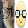BK ilya meow