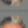 vandalus