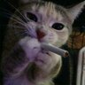 graych