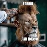 zaba