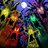 SCREAMING FOREST