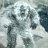 Yeti