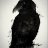 Crow.