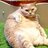 tubz