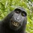 monkeygggg