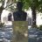 Platonus