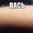 Вася Васян