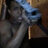 Leroy_Loures